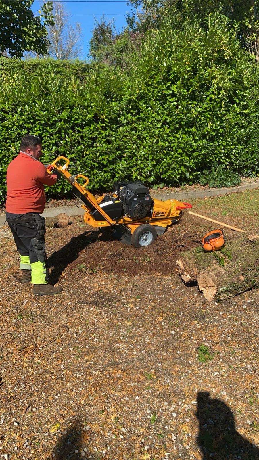 Travaux d’abattage et d’élagage d’arbres dans les Pyrénées-Atlantiques (64) - Photo 8
