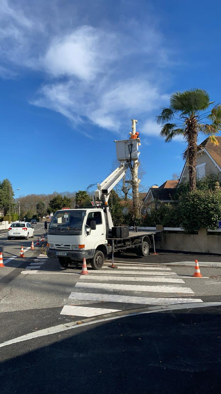 Travaux d’abattage et d’élagage d’arbres dans les Pyrénées-Atlantiques (64) - Photo 6
