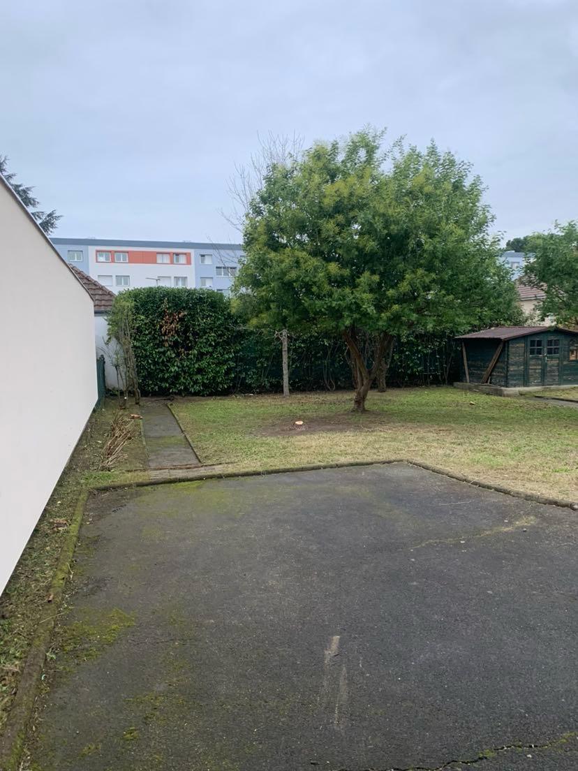 Travaux d’abattage et d’élagage d’arbres dans les Pyrénées-Atlantiques (64) - Photo 2