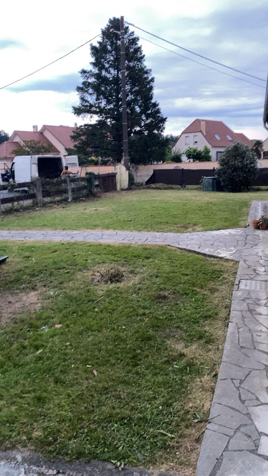 Entretien de jardin et espaces verts dans les Pyrénées-Atlantiques (64) - Photo 14