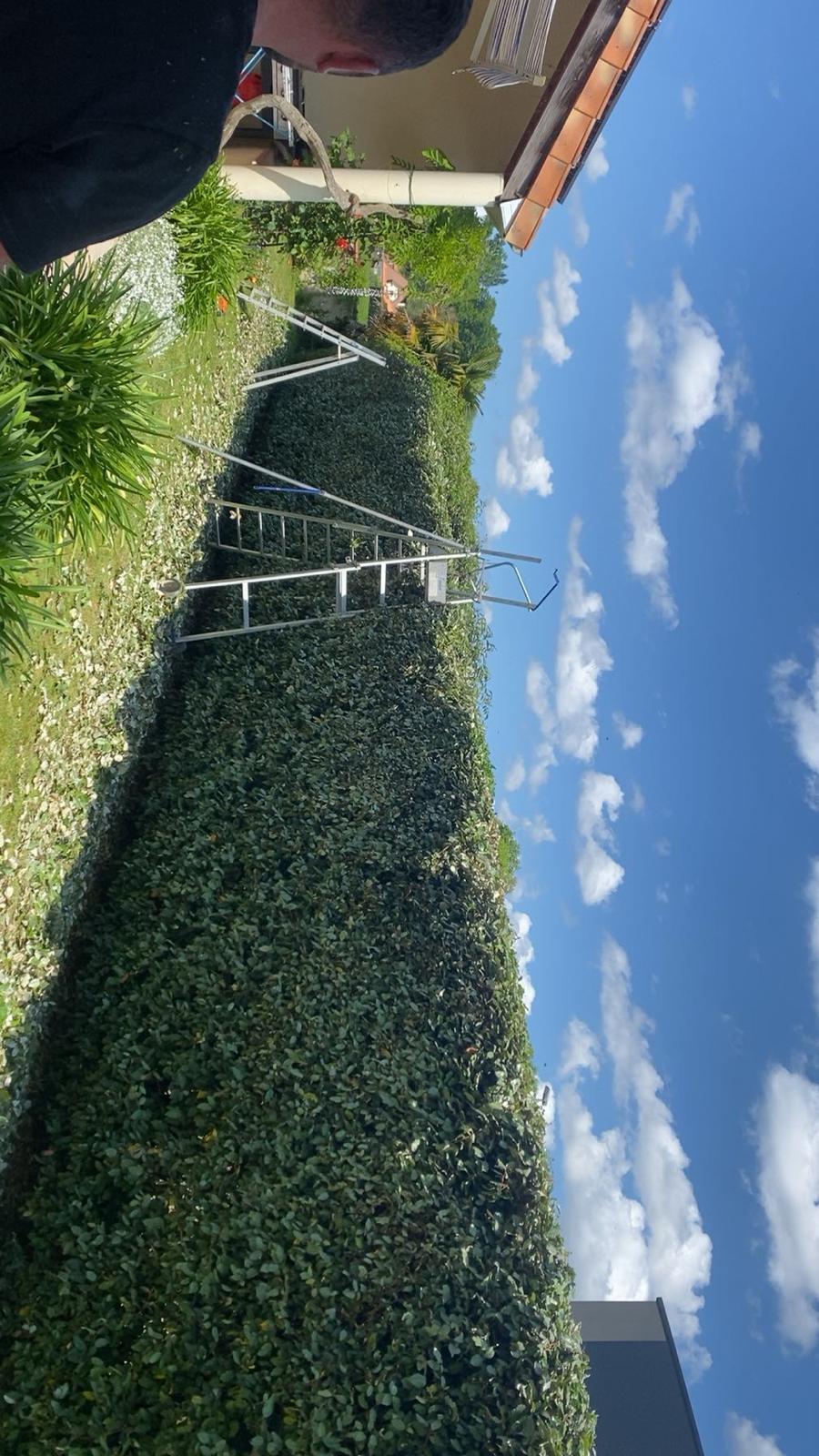 Entretien de jardin et espaces verts dans les Pyrénées-Atlantiques (64) - Photo 4