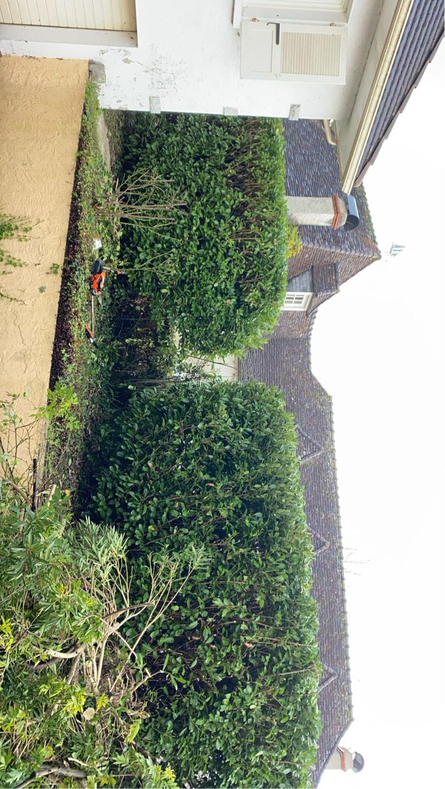Entretien de jardin et espaces verts dans les Pyrénées-Atlantiques (64) - Photo 8