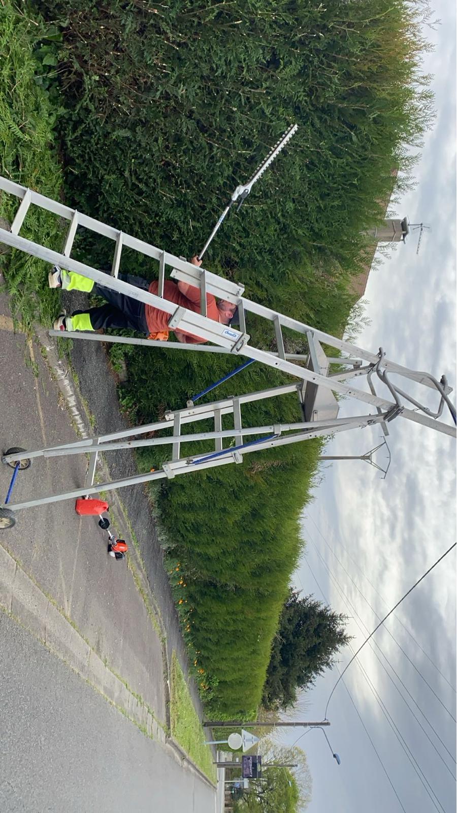Taille de haies dans les Pyrénées-Atlantiques - Photo 8