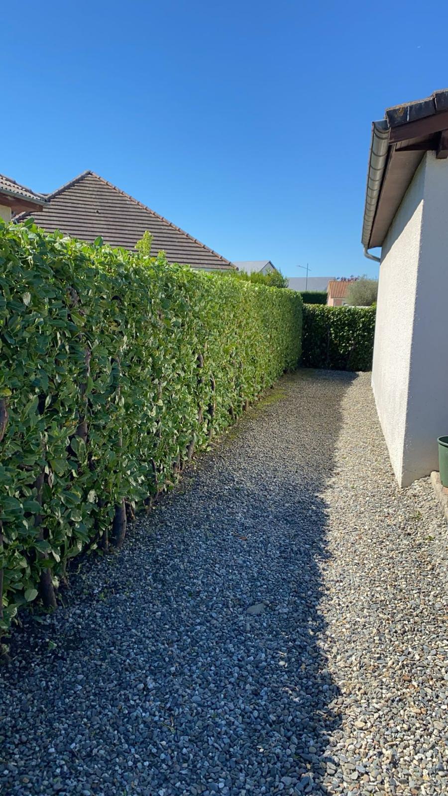 Taille de haies dans les Pyrénées-Atlantiques - Photo 5